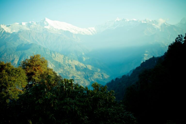 Home raimond klavins t7ycieani7u unsplash